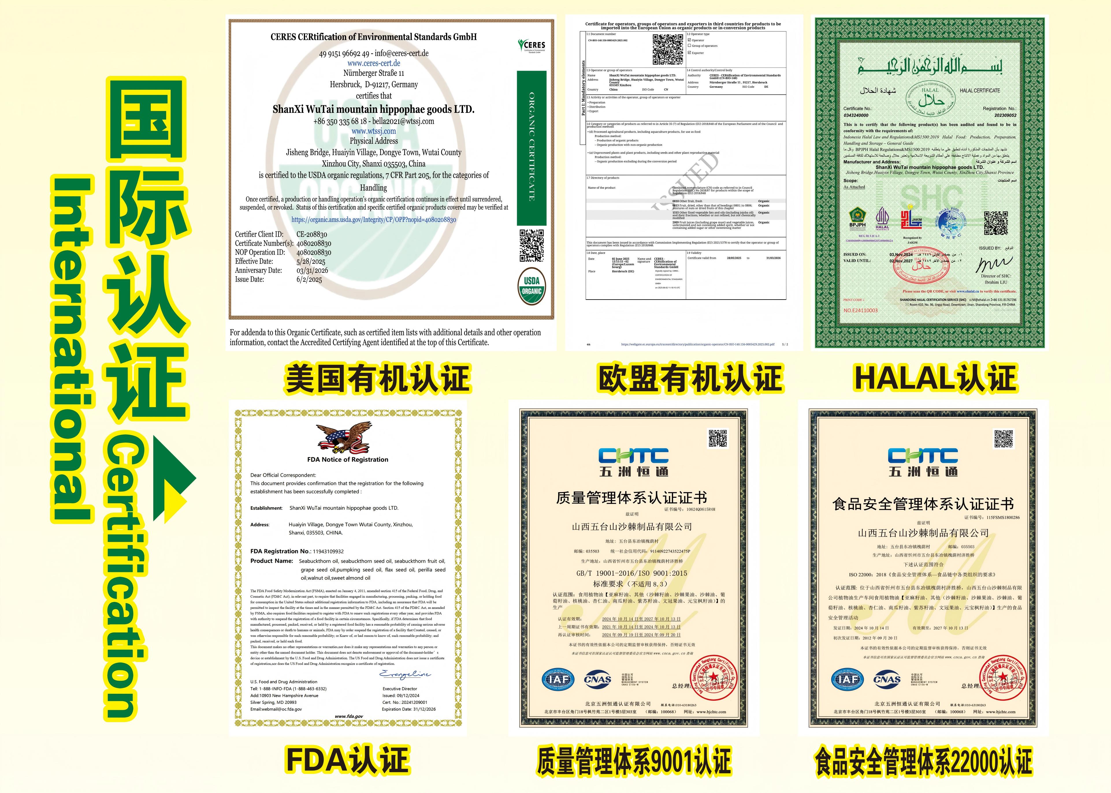 国际认证.jpg